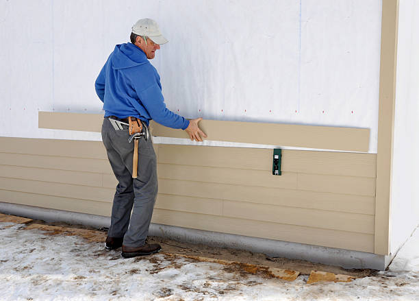 Best Siding Painting and Refinishing  in Braidwood, IL